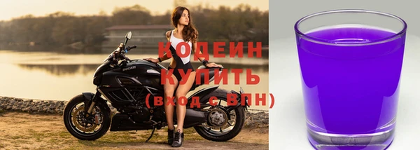 крисы Армянск