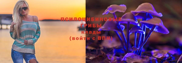 круглые Аркадак