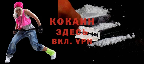 крисы Армянск