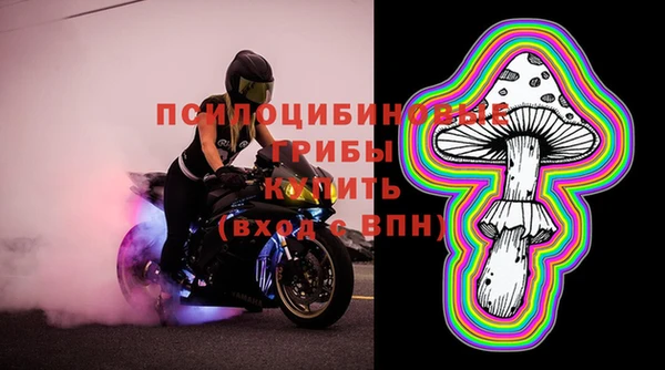 круглые Аркадак