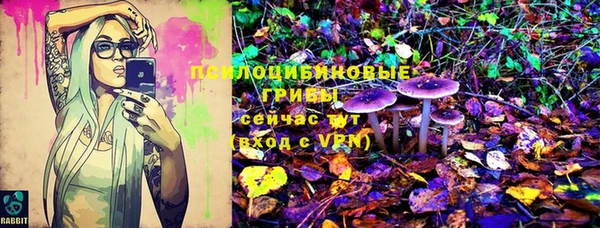 крисы Армянск