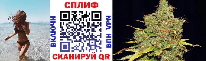 Бошки Шишки SATIVA & INDICA Соль-Илецк